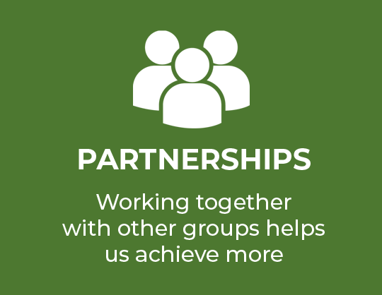 Partnerships