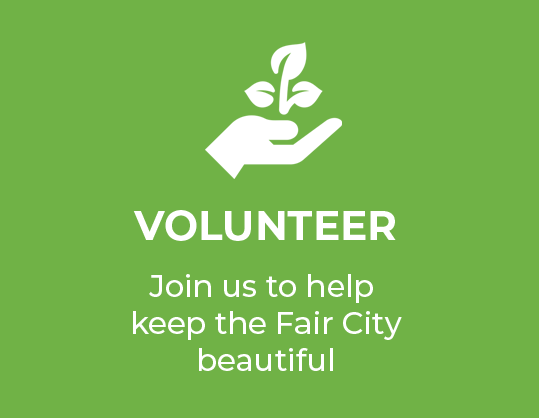 Volunteer